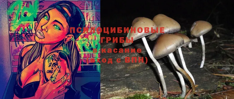 Псилоцибиновые грибы MAGIC MUSHROOMS  купить наркотик  Бавлы 